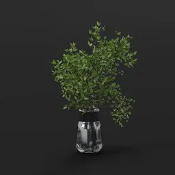 Green Topiary Plant