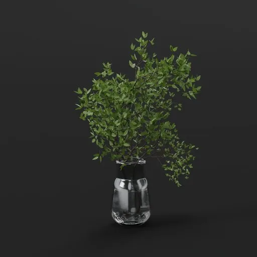 Green Topiary Plant