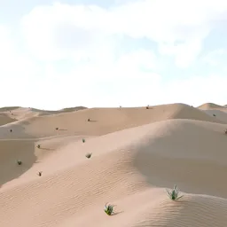 Desert scene