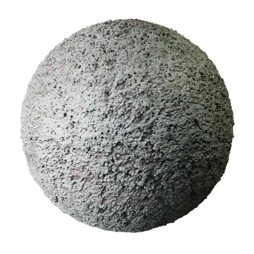 Barnacles Stone