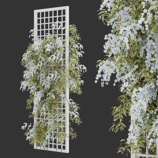 Vertical Flower Trellis Plant