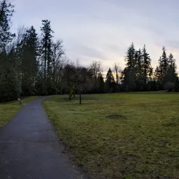 Park  Winter Sunset Twilight Sky