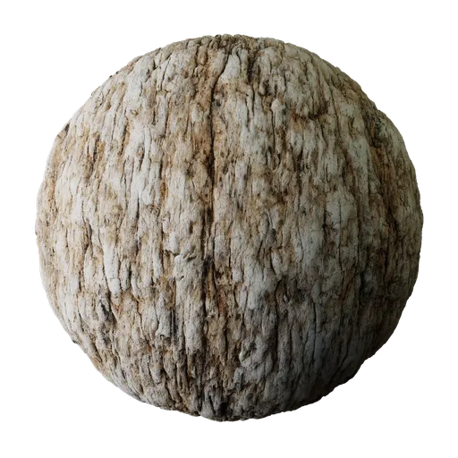 Tree Bark