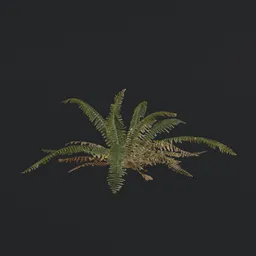 "Game-ready Tropical Fern b1 3D model with PBR textures for Blender 3D. Perfect as an inventory item or overgrown greenery in RPG games, and as a listing image in game asset files. Flame ferns and brownish old fossil remnants add a realistic touch."