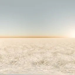 Winter Morning No Trees