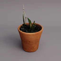 Small Ceramic Plant Pot