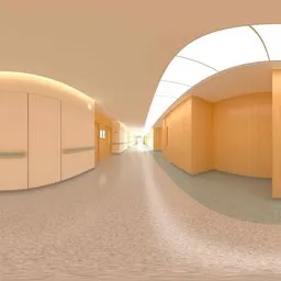 Hospital Lighting Hall