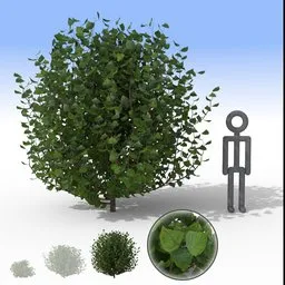 Realistic large bush 3D model with detailed individual leaves for landscape design, compatible with Blender.