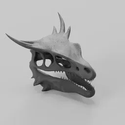 Dragon head skeleton