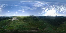 Morning fields and forests