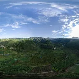 Morning fields and forests