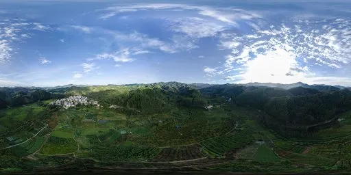 Morning fields and forests