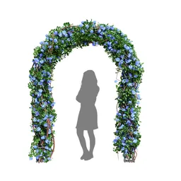 Climbing Roses Garden Bow Blue