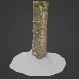 Highly detailed 3D scanned model of a snowy tree trunk, perfect for realistic Blender 3D environments.