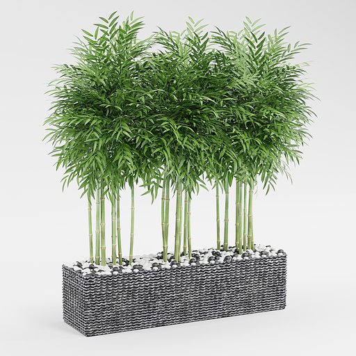 Thumbnail: Bamboo Pot