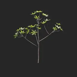 Mangrove Plant + Geometry Nodes + Animation