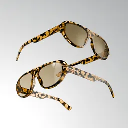Tom Ford Sunglasses