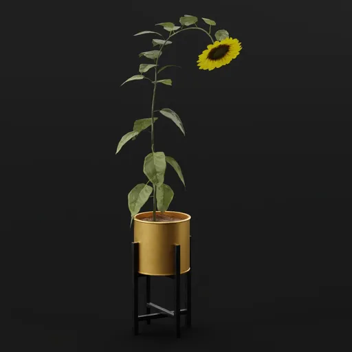 Flower Sunflower High Pot