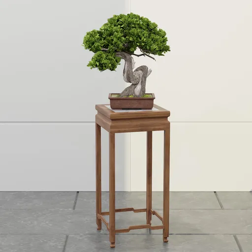 Twisted Trunk Bonsai Tree
