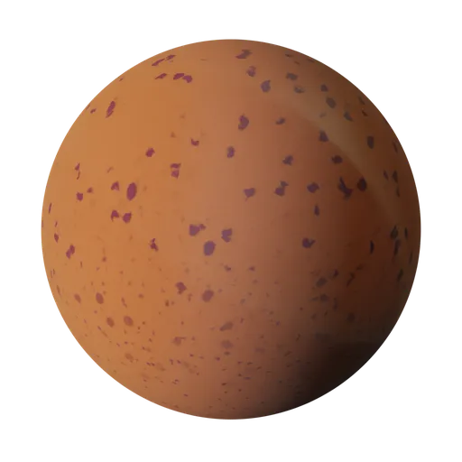 Brown Broiler Egg