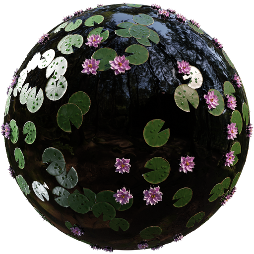 Lily pads