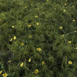 Detailed 3D grass model with yellow flowers, optimized for Blender, game-ready asset.