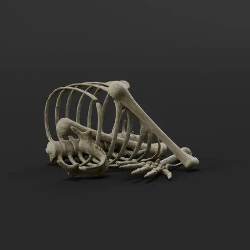 Small Bone Pile 2