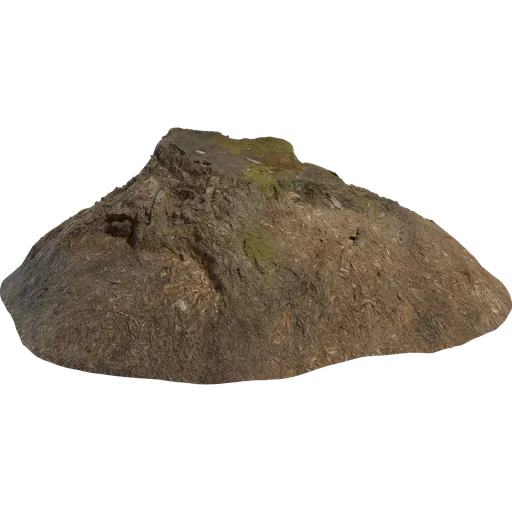 Tree Stump 02