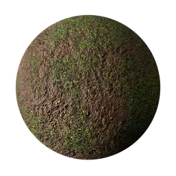 Muddy Ground with Grass Patches