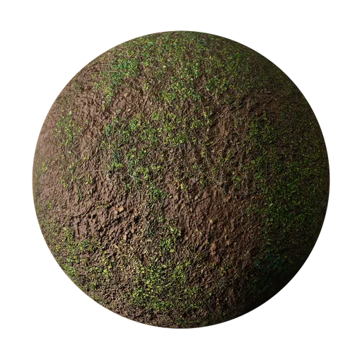 Muddy Ground with Grass Patches