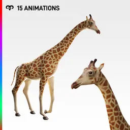 Female Giraffe + Animations