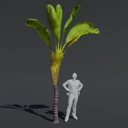 "Tree Banana Palm B1: High-Quality 3D Model for Blender 3D with PBR Textures and Materials. Perfect for Cinematic Rendering and Video Game Assets. Includes Oak Leaves and Botanic Foliage."