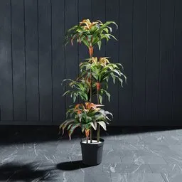 Detailed Blender 3D artificial Dracena plant model, modifiable for interior visualization, with realistic textures.