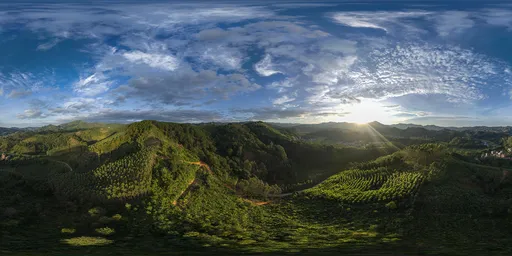 Sunrise sunlight