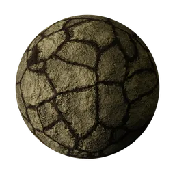 Cracked Soil