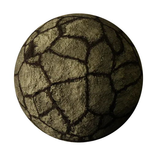 Cracked Soil