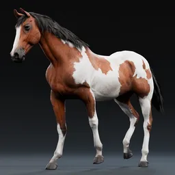 Realistic Rigged Pinto Horse
