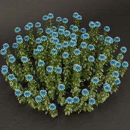 SJ-Lush Meadow Flowers