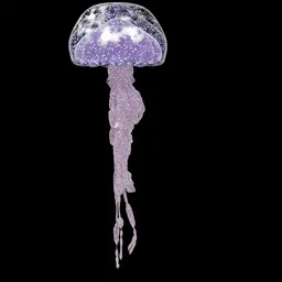 Animated Jellyfish 2