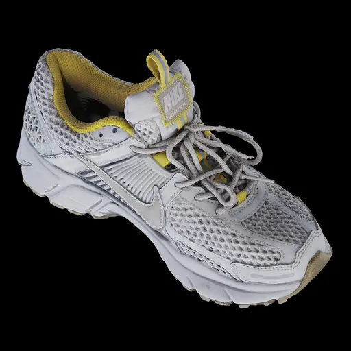 Scan shoe09