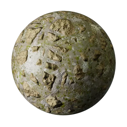 Wet Rocky Floor