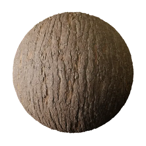 Tree Bark Surface