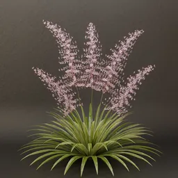 SJ-Whisperwood Dream Bloom