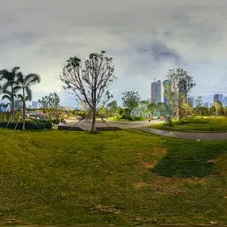 Green grass at night