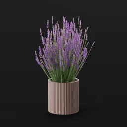 Lavender Flower Med Pot
