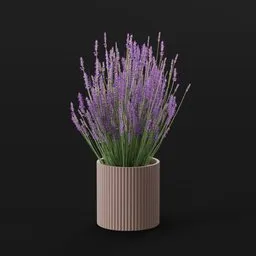 Lavender Flower Med Pot