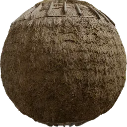 Reed Roof 03