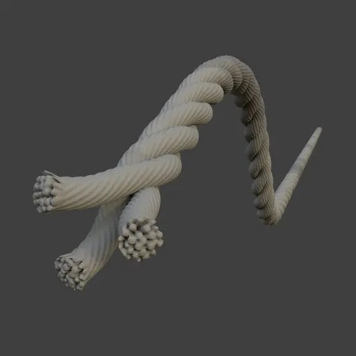 Cutted rope