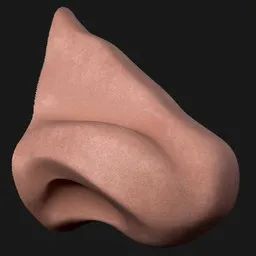 Swept Wedge