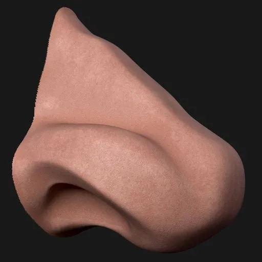 Swept Wedge